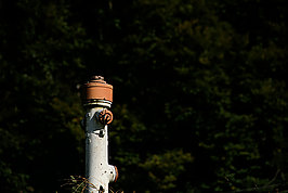Bernhard Saalfeld - DSC08887 -1